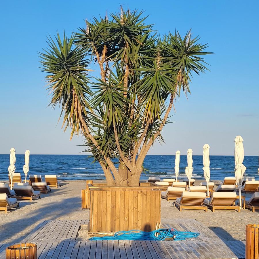 Studio Beach Residence Năvodari المظهر الخارجي الصورة